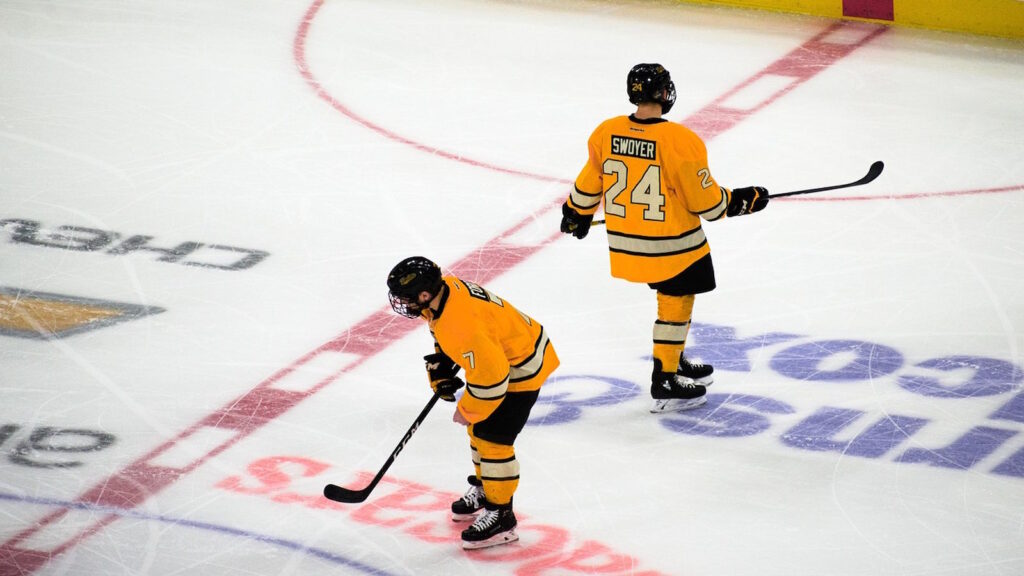 Welche Eishockey Zonen gibt es? Erklärung: Angriffszone, Verteidigungszone, neutrale Zone 5 Eishockey Zonen