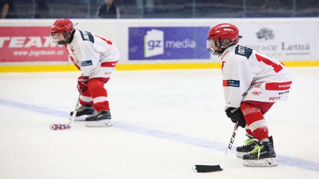 Welche Eishockey Zonen gibt es? Erklärung: Angriffszone, Verteidigungszone, neutrale Zone 4 Eishockey Zonen auf dem Spielfeld erklärt
