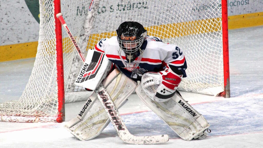 Eishockey Spielfeld in der DEL: Aufbau, Maße, Markierungen und Besonderheiten 3 Torraum auf dem Eishockeyfeld